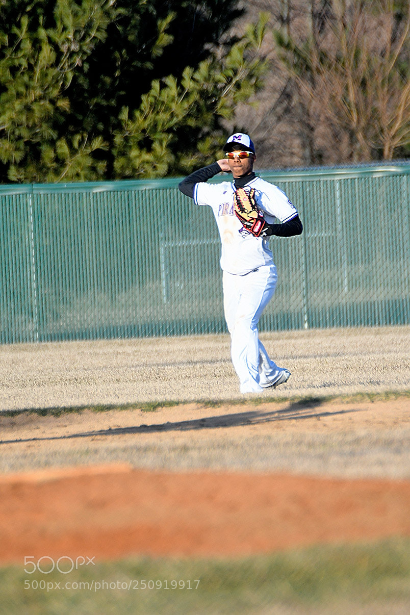 Nikon D500 sample photo. 3-22_0340.jpg photography