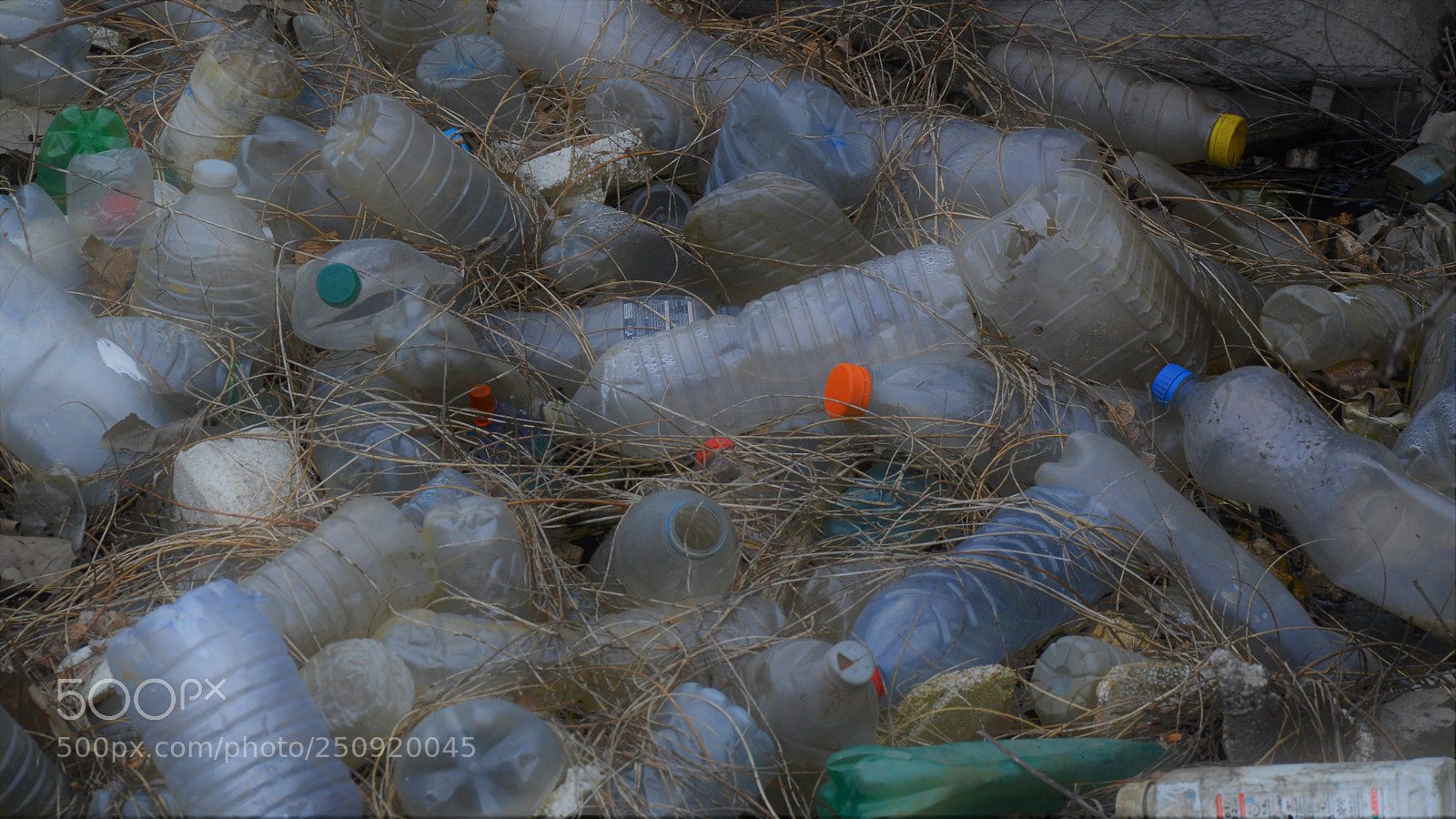 Nikon D3200 sample photo. Untitled photography