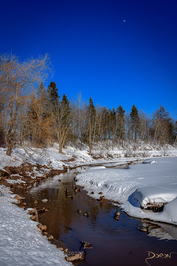 Nikon D7200 sample photo. Spring stream photography