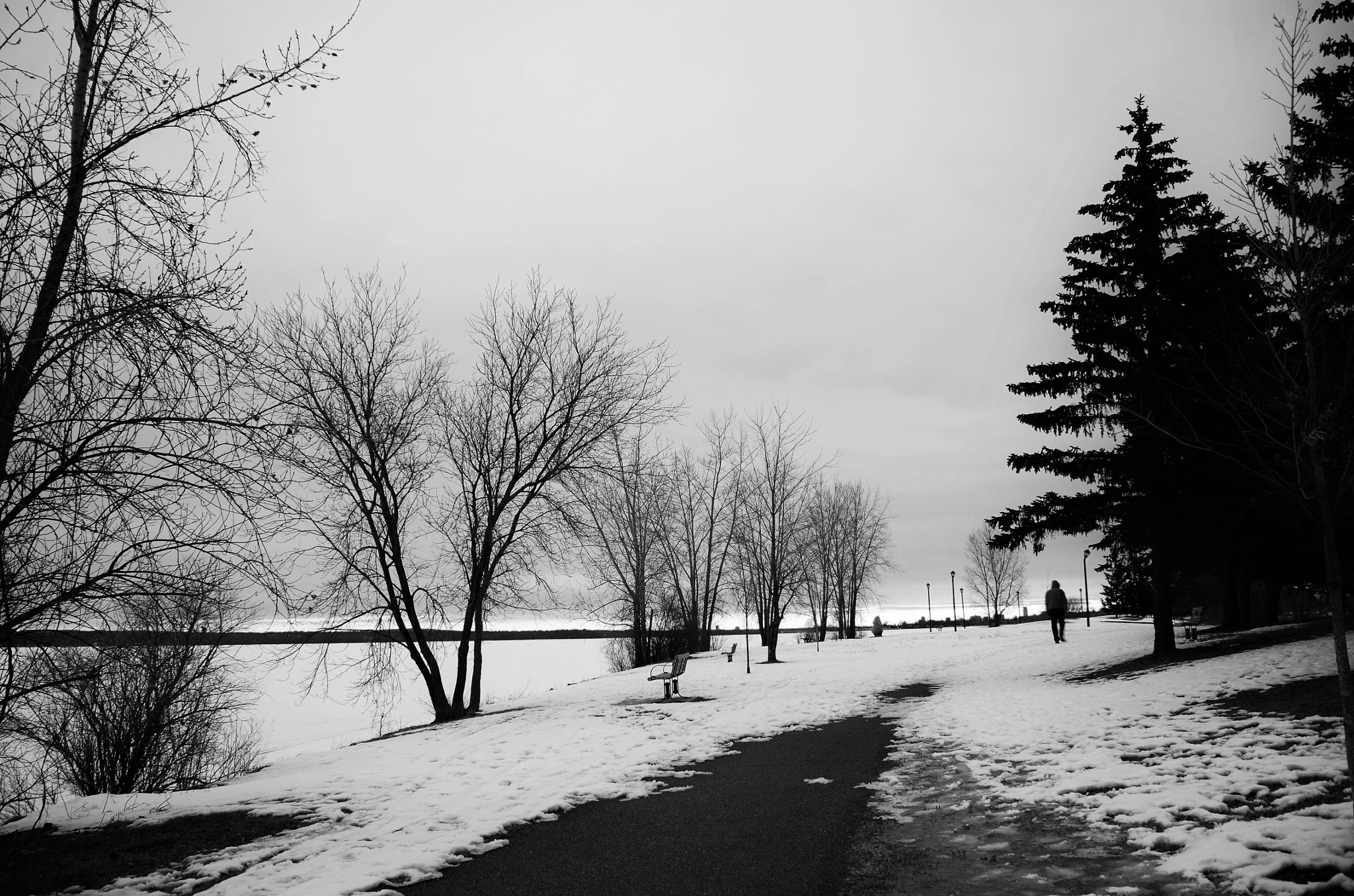 Nikon D7000 sample photo. (the walk) photography