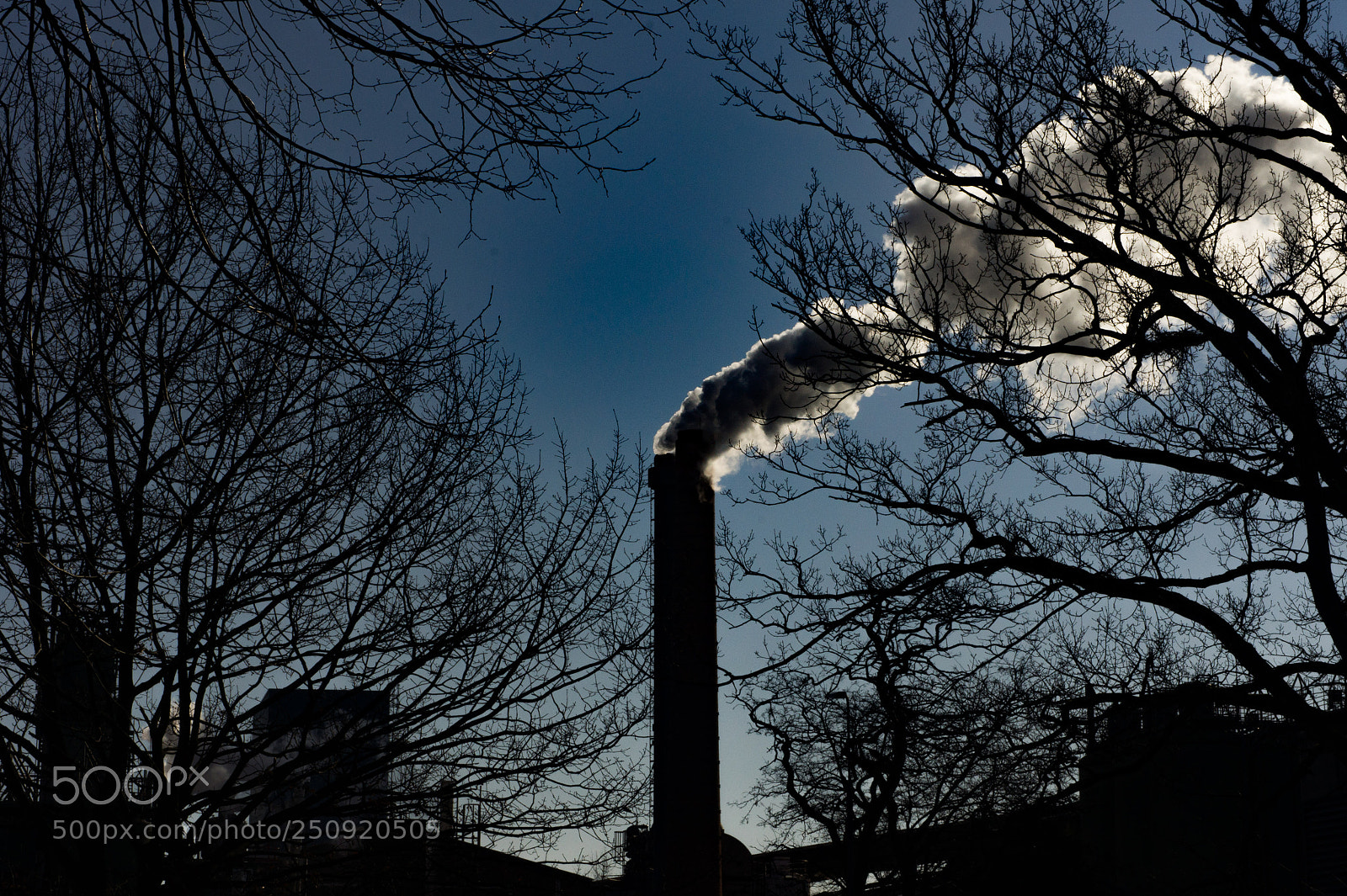 Sony Alpha NEX-5 sample photo. Factory photography