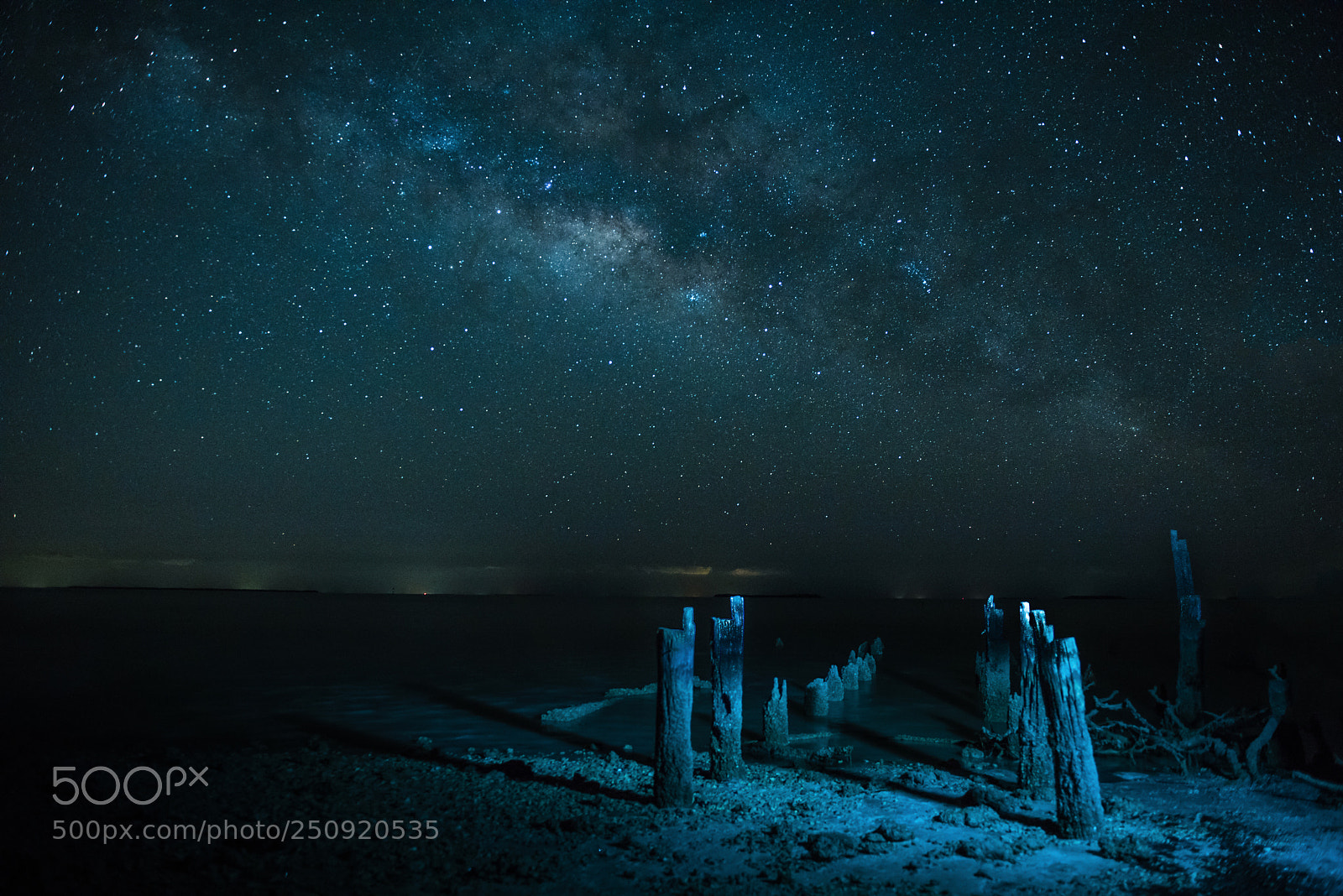 Nikon D810 sample photo. Milky way over florida photography