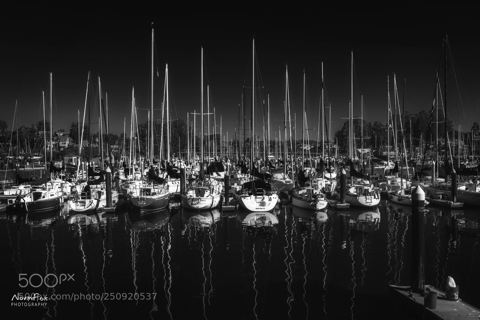 Canon EOS 760D (EOS Rebel T6s / EOS 8000D) sample photo. Harbor photography