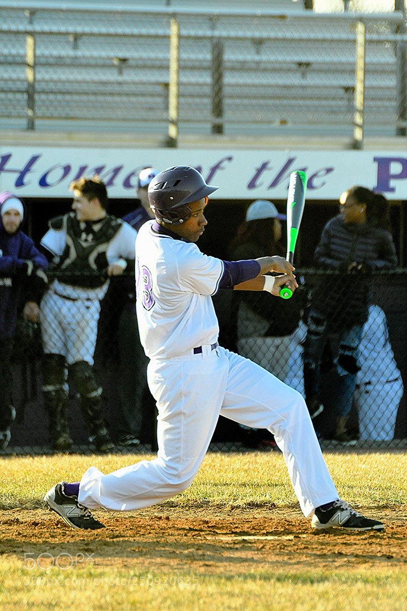 Nikon D500 sample photo. 3-22_0084.jpg photography