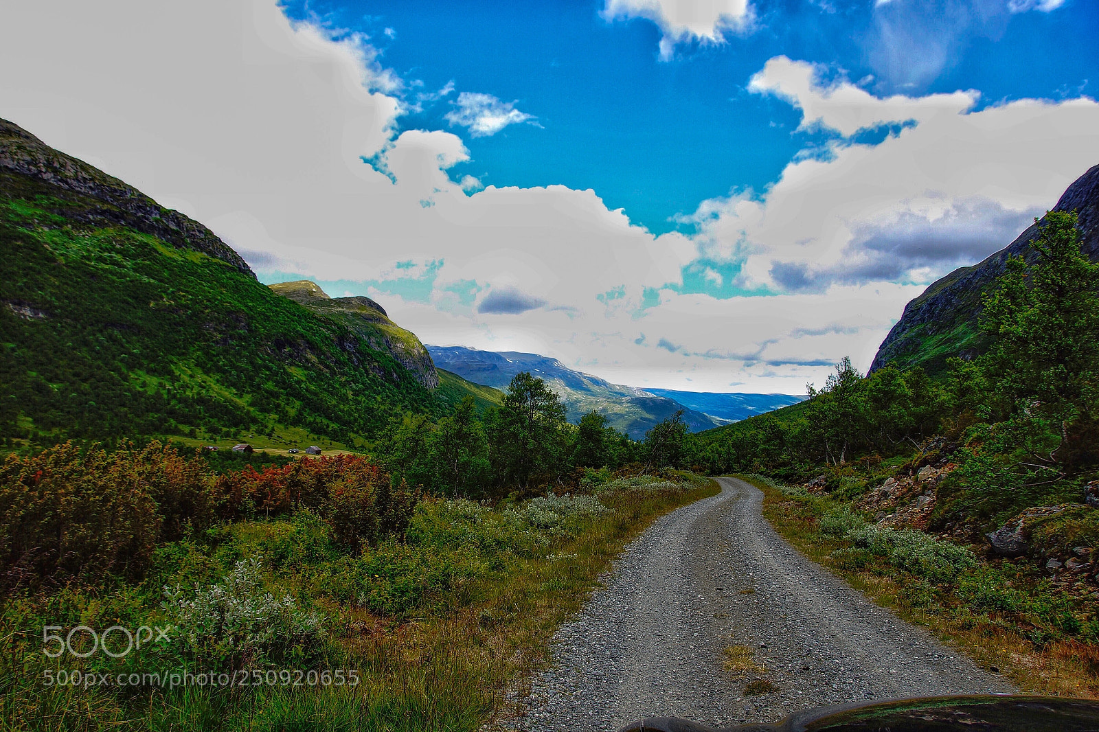 Sony SLT-A77 sample photo. Summer in the norwegian photography