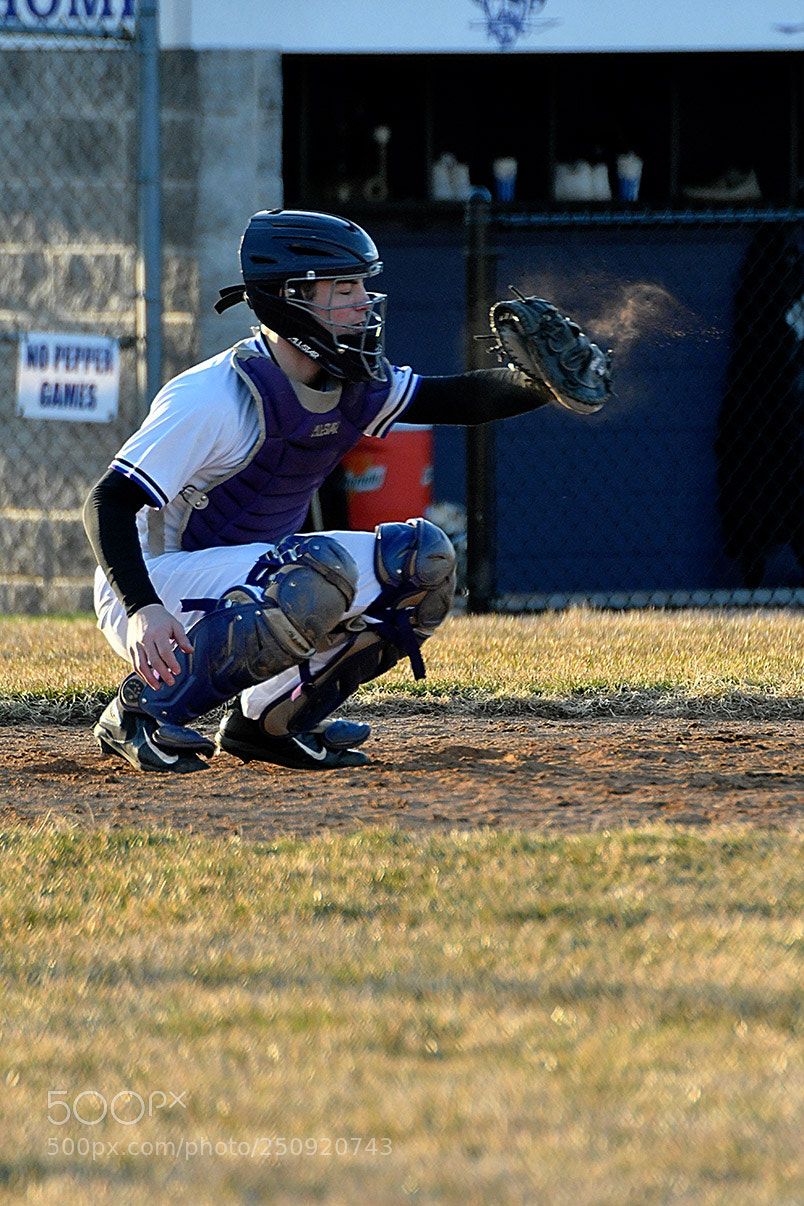 Nikon D500 sample photo. 3-22_0541.jpg photography