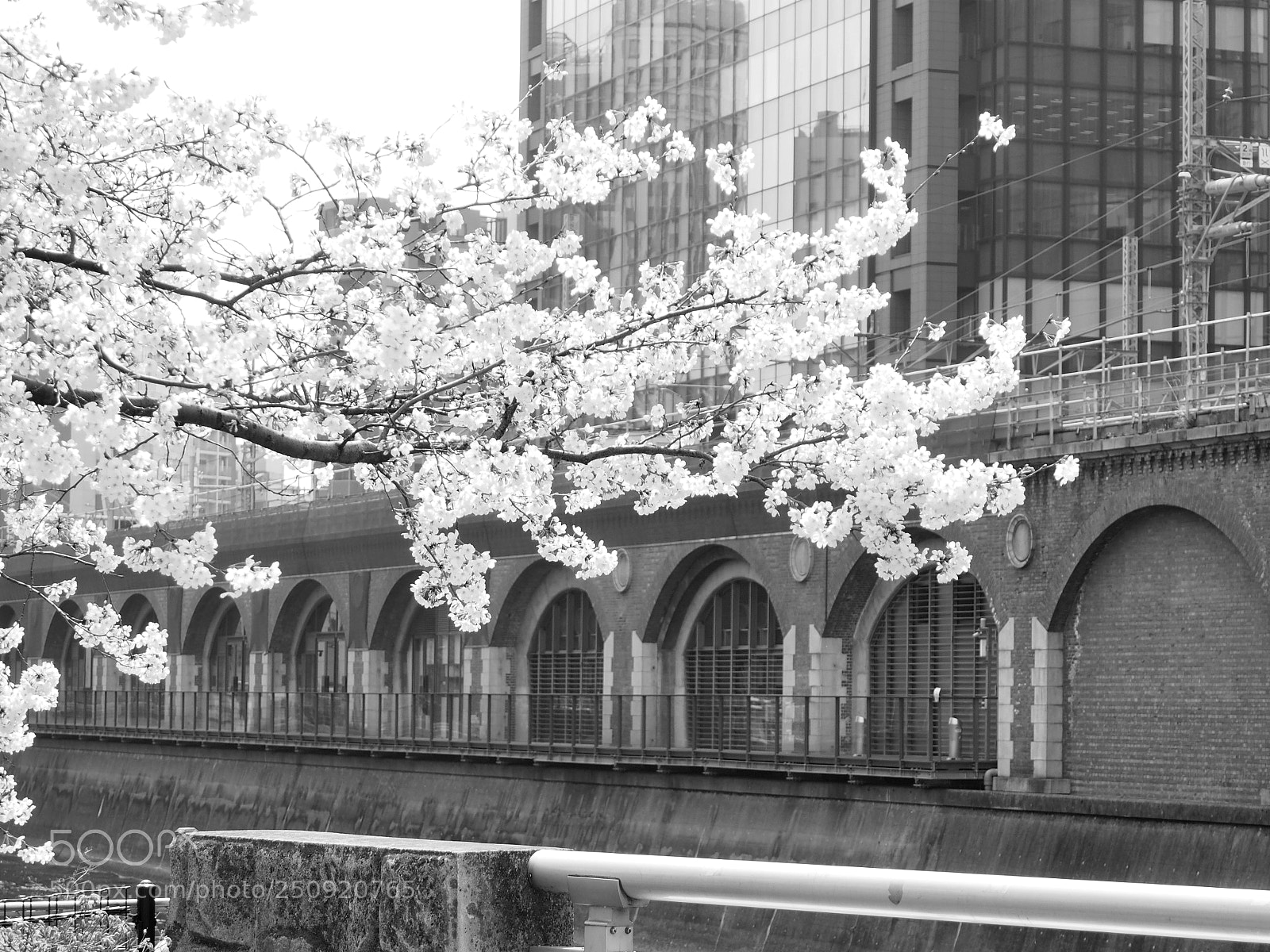 Olympus OM-D E-M5 sample photo. Kanda manseibashi(tokyo japan) photography