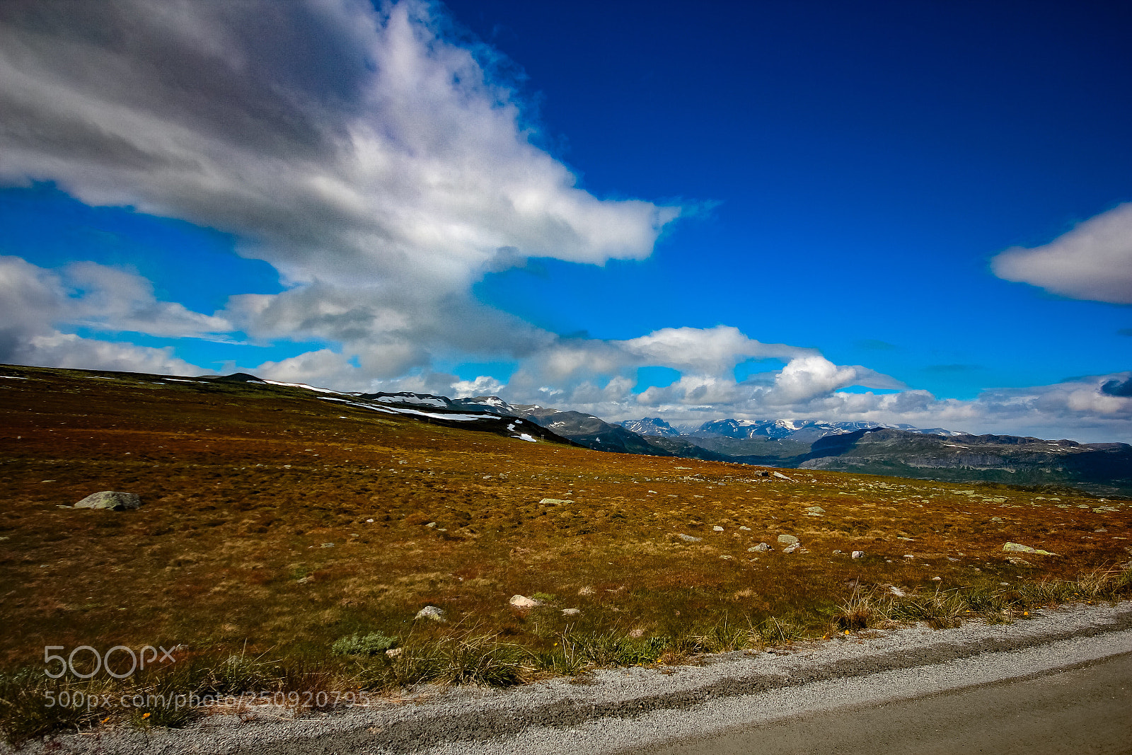 Canon EOS 60D sample photo. By the road  photography