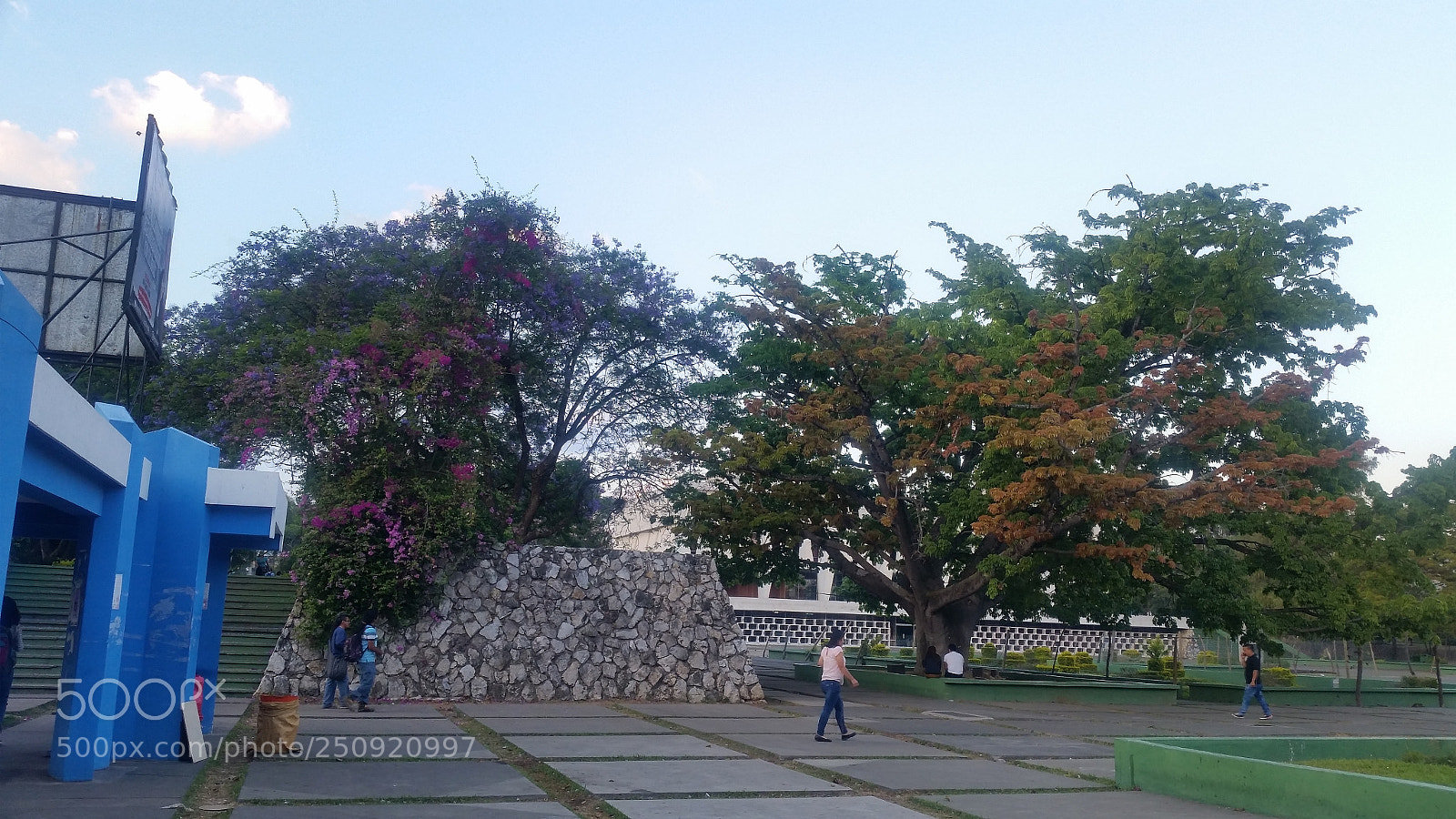 Samsung Galaxy S5 sample photo. Usac photography