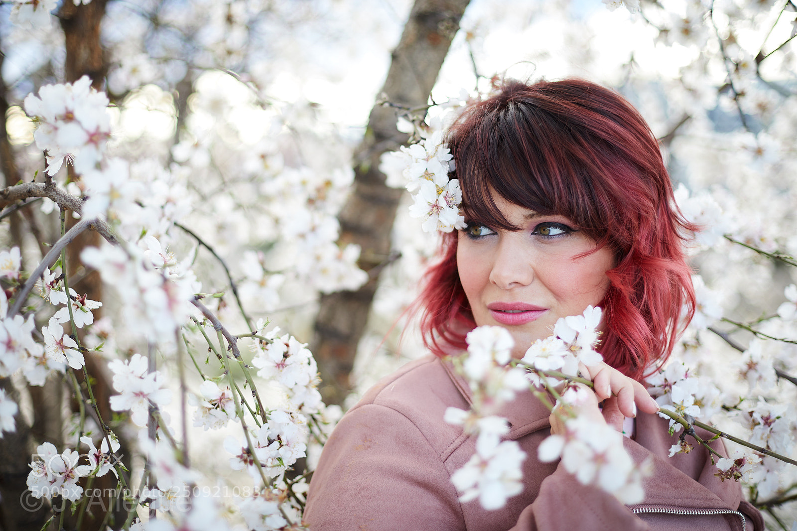Canon EOS 5D Mark IV sample photo. Cherry tree portrait 01 photography