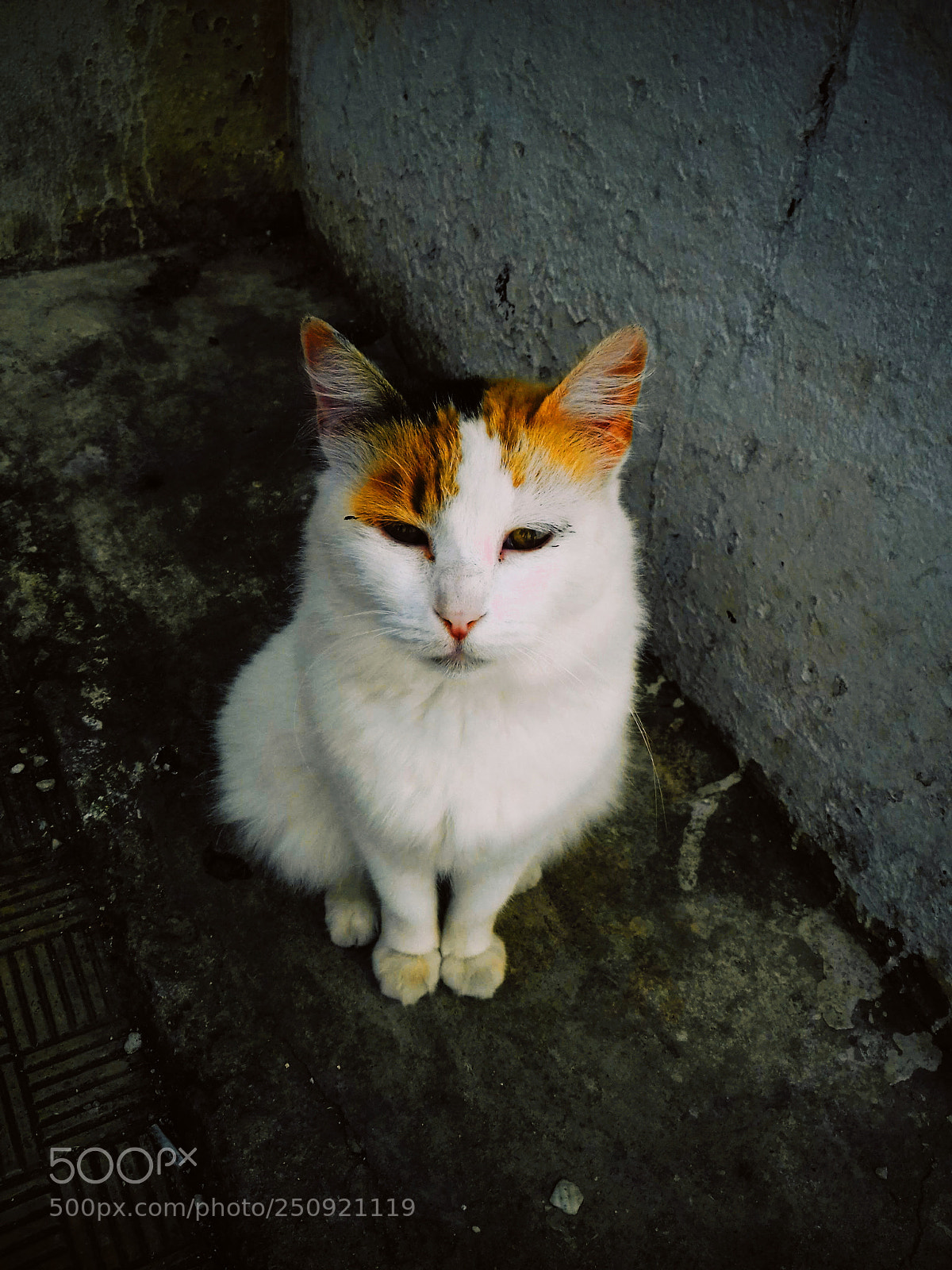Samsung Galaxy J3(2016) sample photo. Watcha photography