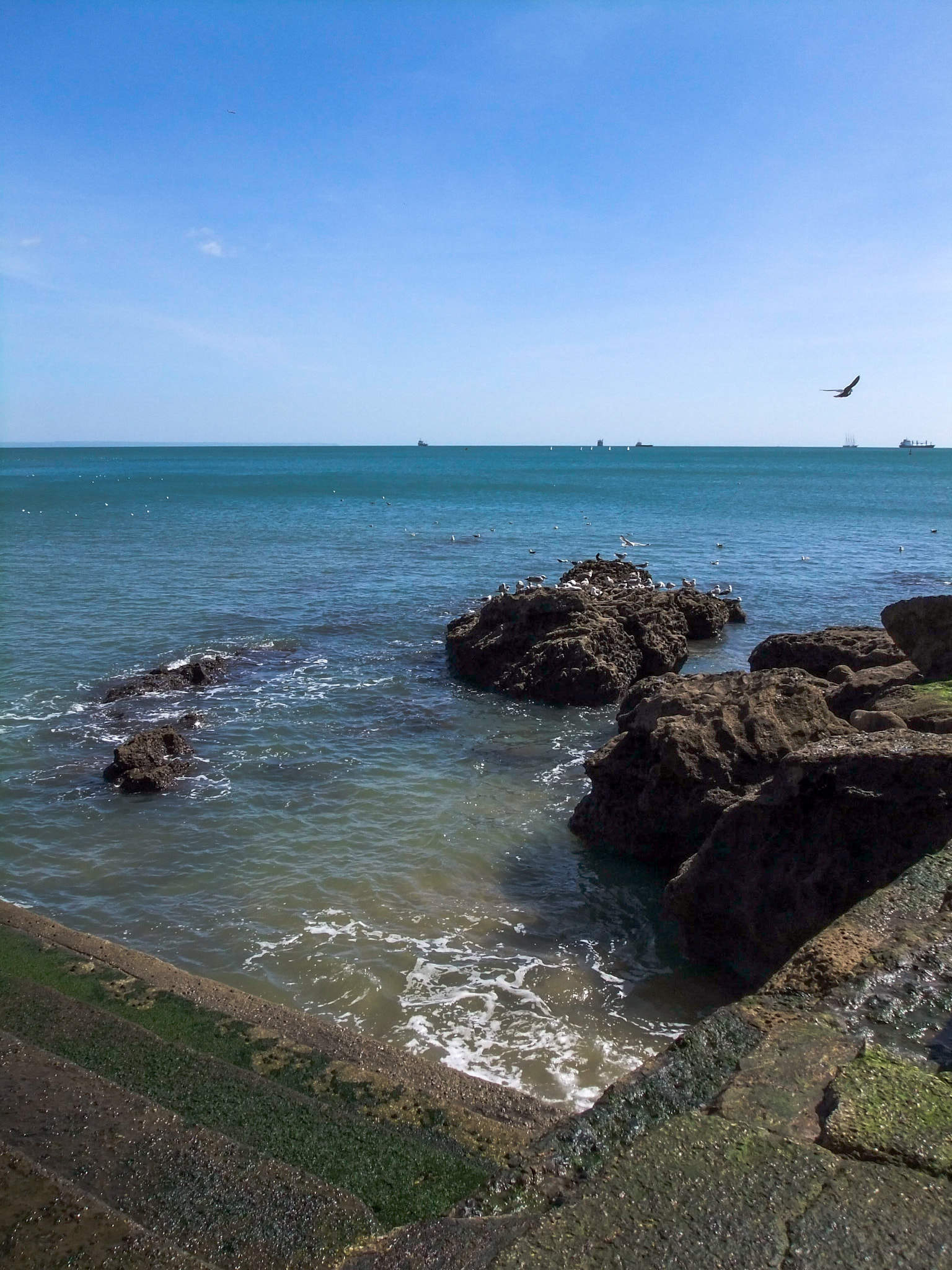 FujiFilm FinePix Z800EXR (FinePix Z808EXR) sample photo. Sea capture photography