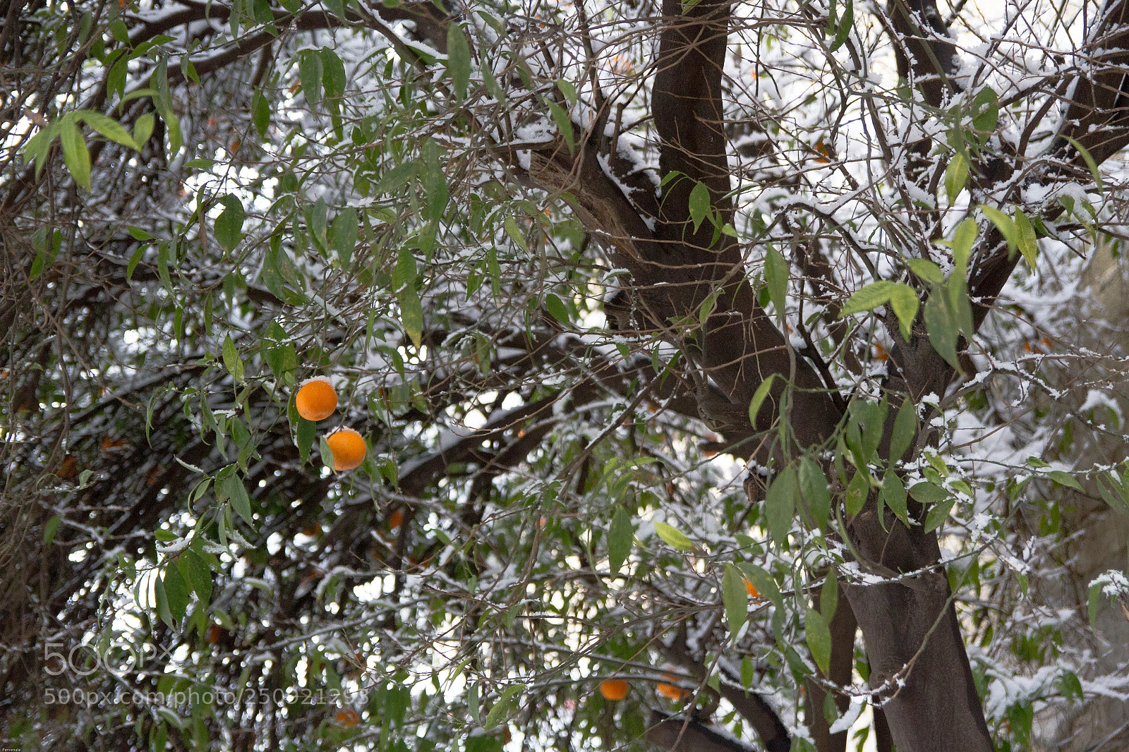 Canon EOS 7D sample photo. Mg photography