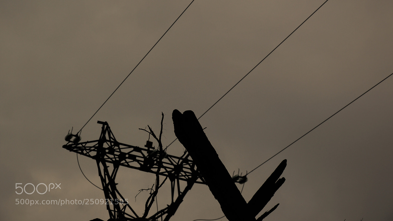 Nikon D3200 sample photo. Untitled photography