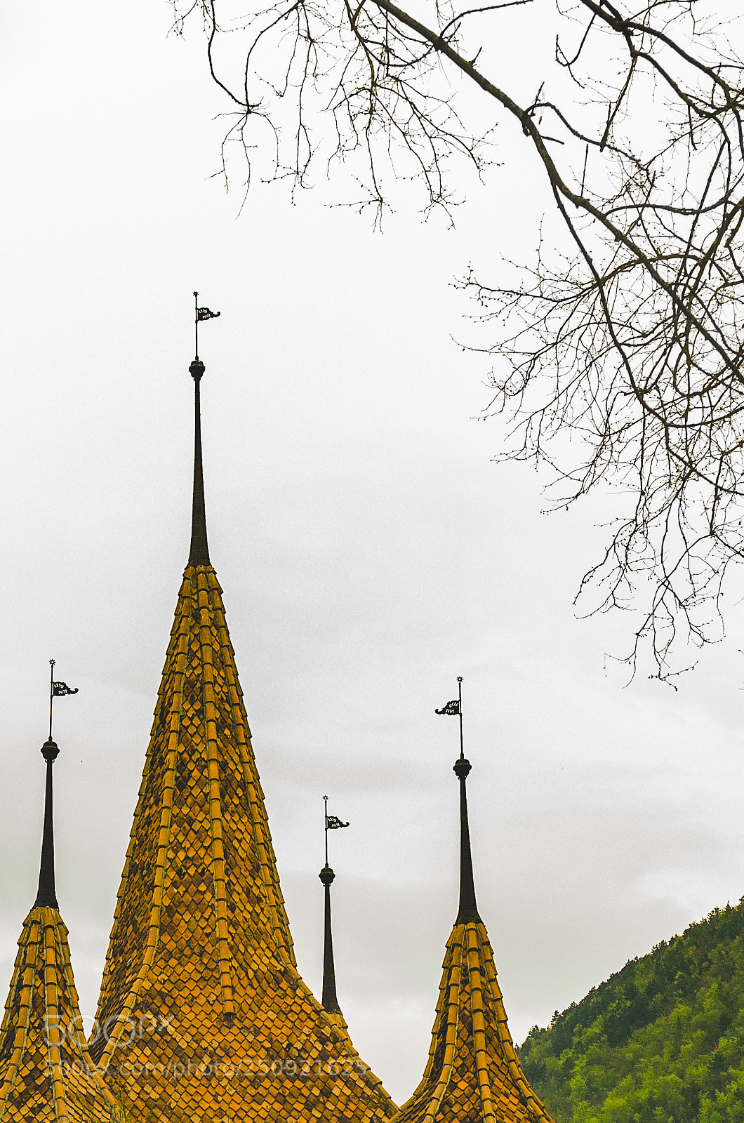 Nikon D7000 sample photo. Architectural details photography