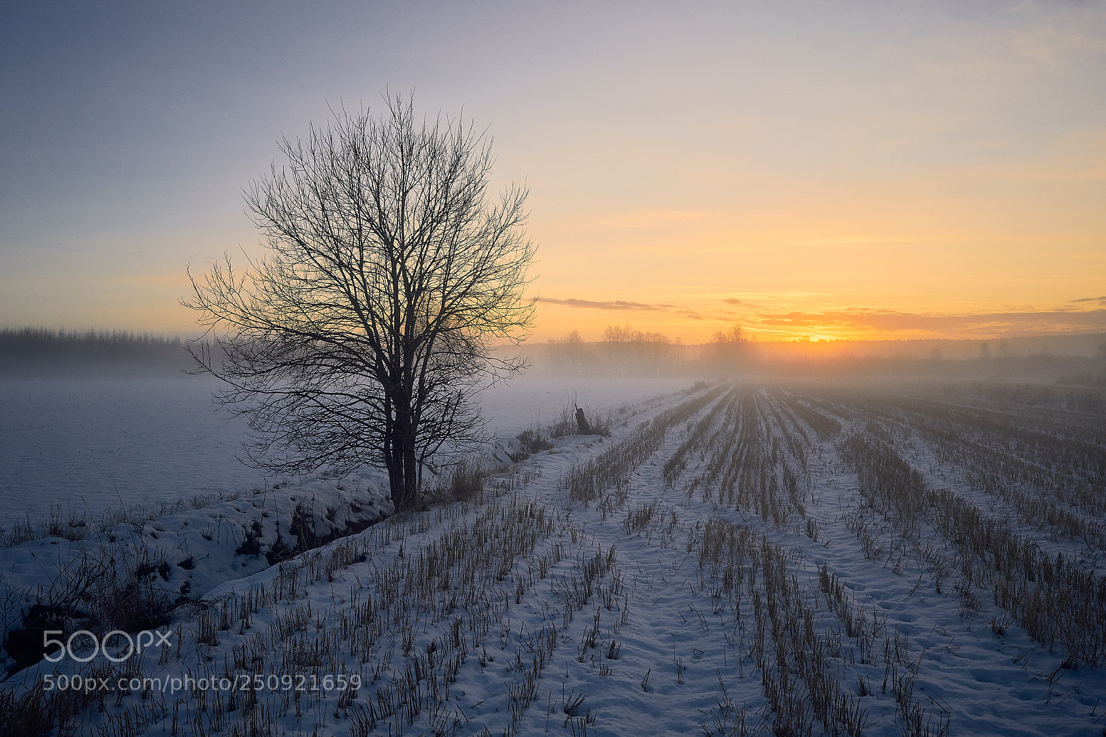 Sony a7R II sample photo. Sunset in isojoki ii photography