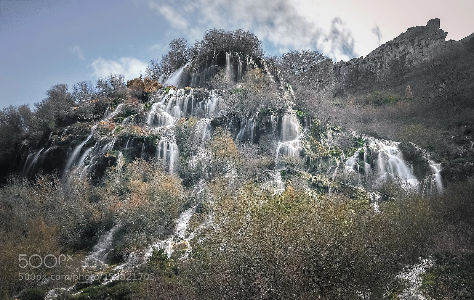 Nikon D300S sample photo. Por doquier. photography