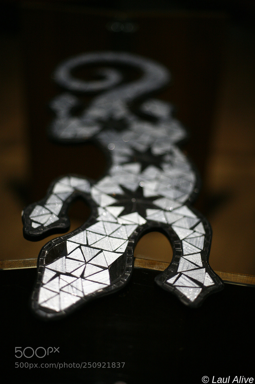 Canon EOS 5D sample photo. Lezard / lizard photography