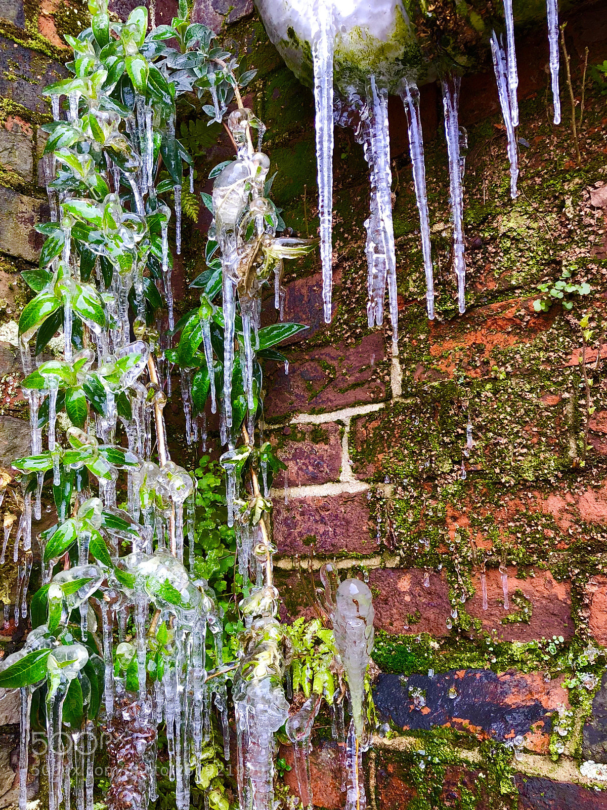 Apple iPhone 8 Plus sample photo. Ice photography