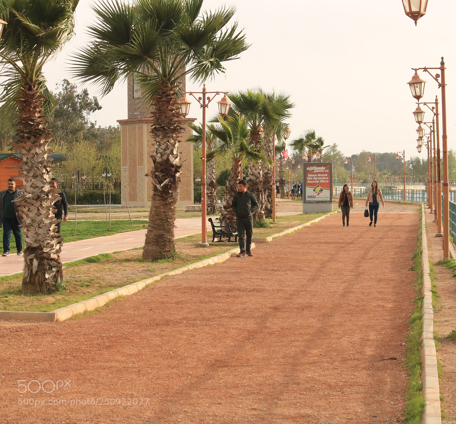 Canon EOS 750D (EOS Rebel T6i / EOS Kiss X8i) sample photo. Untitled photography