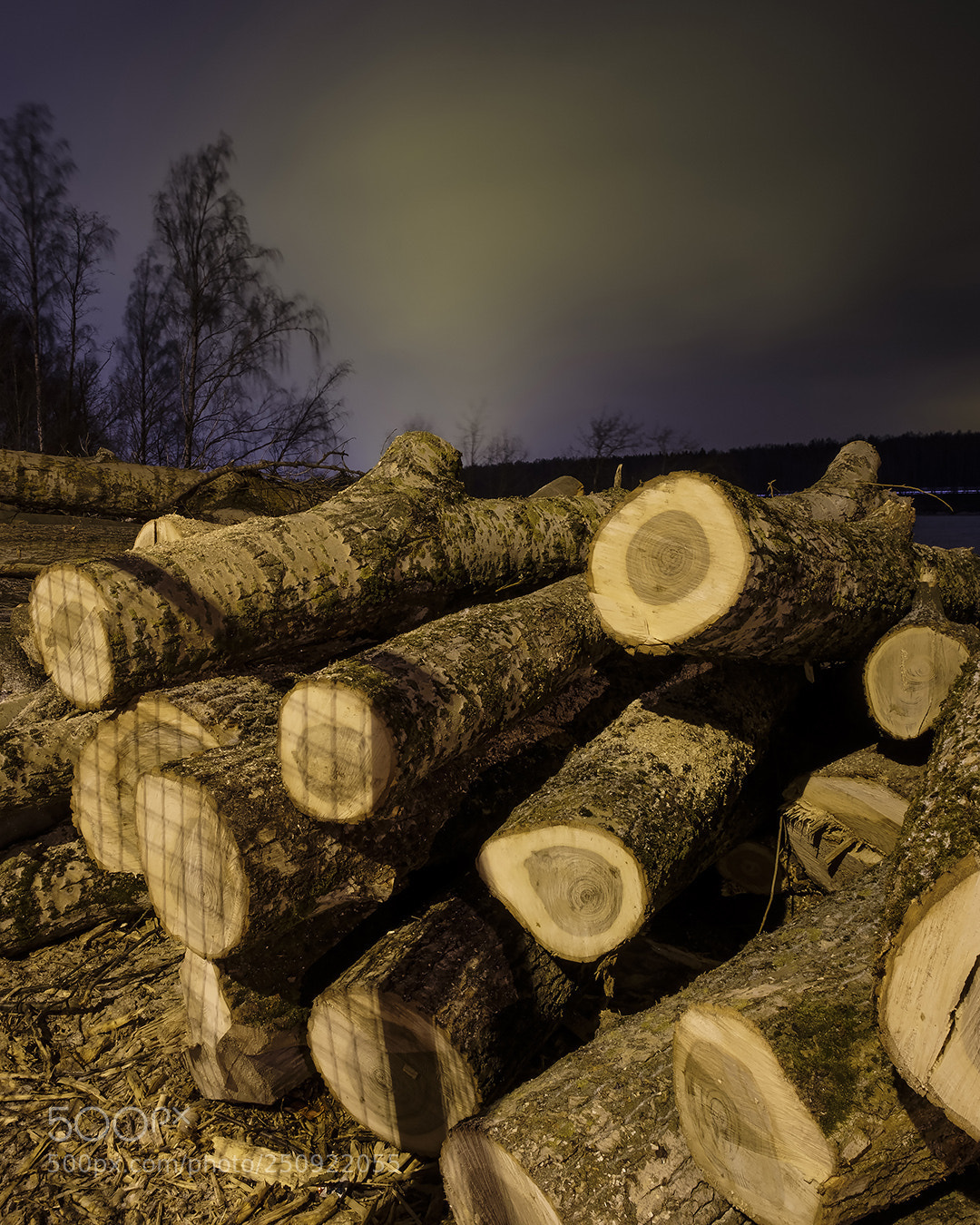 Fujifilm X-T20 sample photo. Timber photography