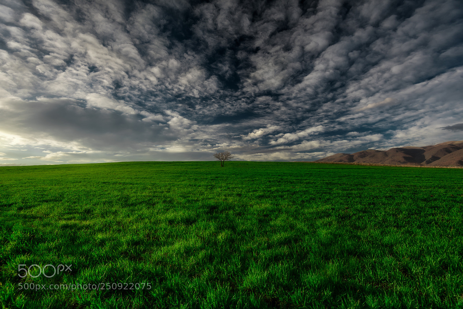 Nikon D810 sample photo. Save the planet photography