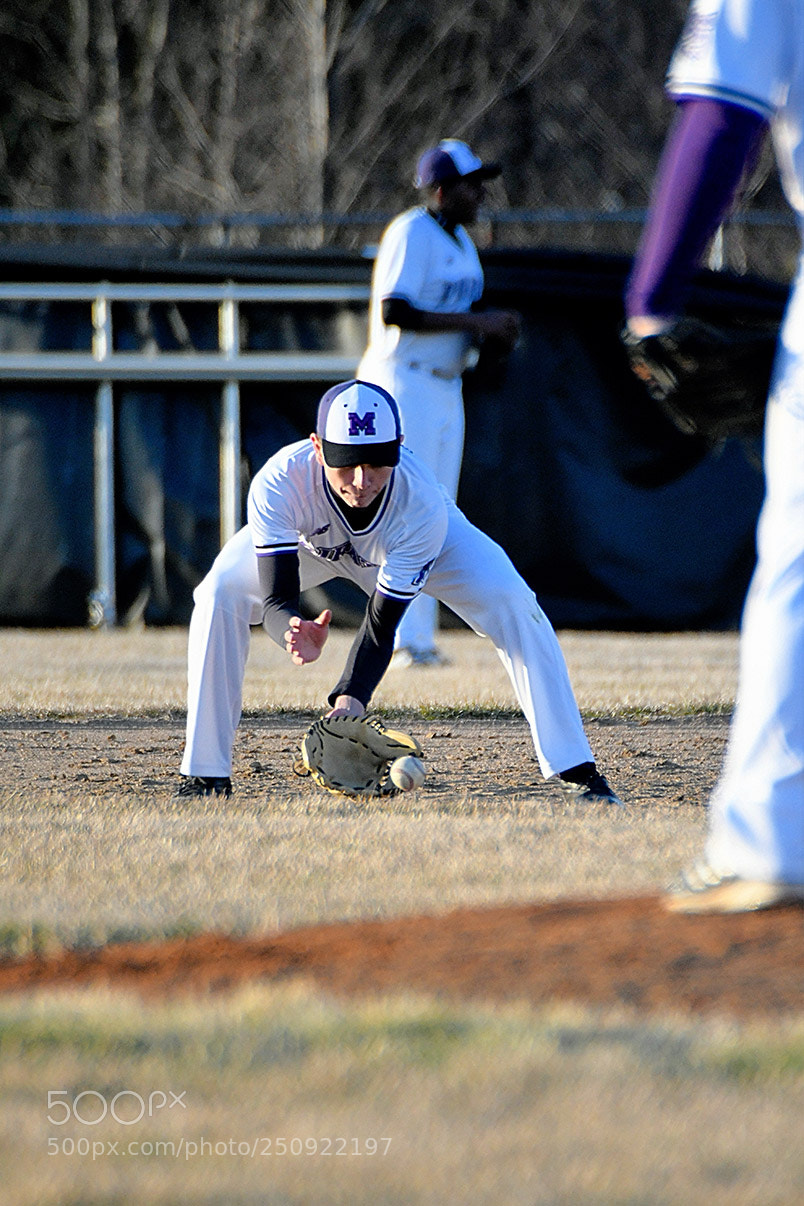 Nikon D500 sample photo. 3-22_0560.jpg photography