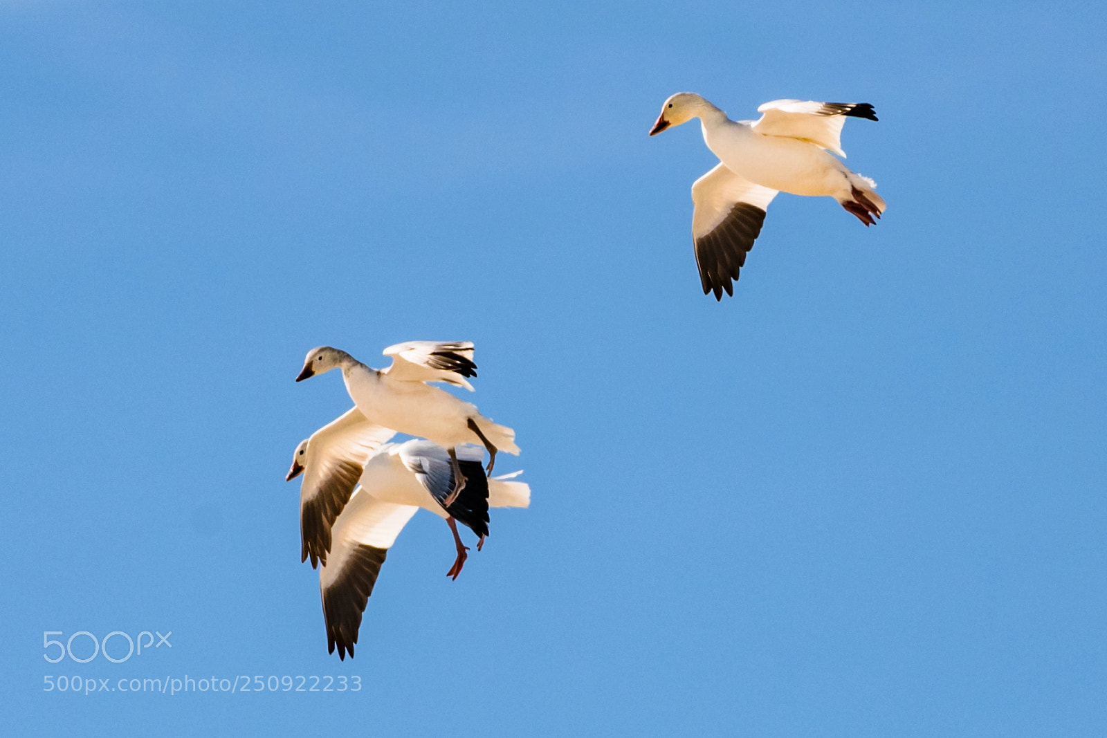 Nikon D850 sample photo. Landing photography
