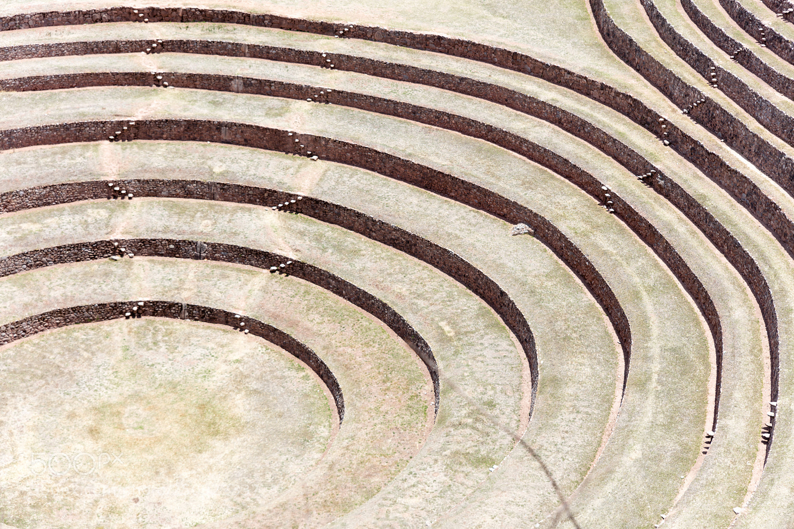 Canon EOS 5DS R sample photo. Circular terraces at moray photography