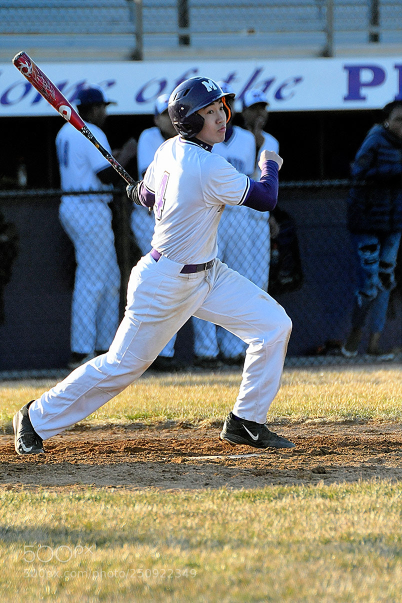 Nikon D500 sample photo. 3-22_0369.jpg photography