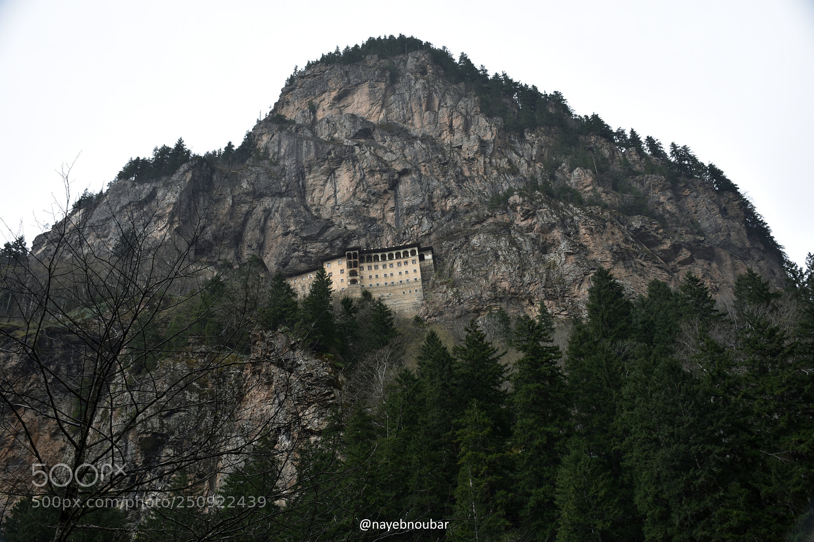 Nikon D7200 sample photo. 1004.jpg photography