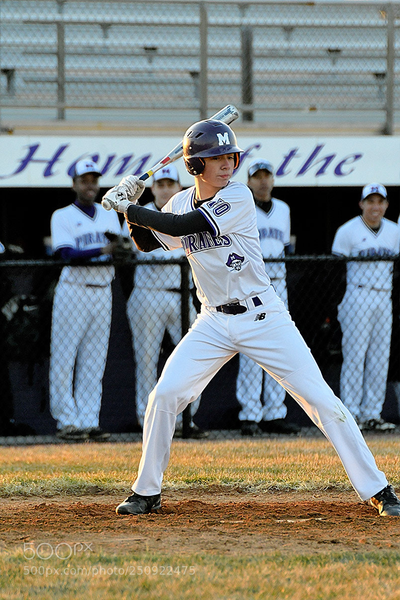 Nikon D500 sample photo. 3-22_0790.jpg photography