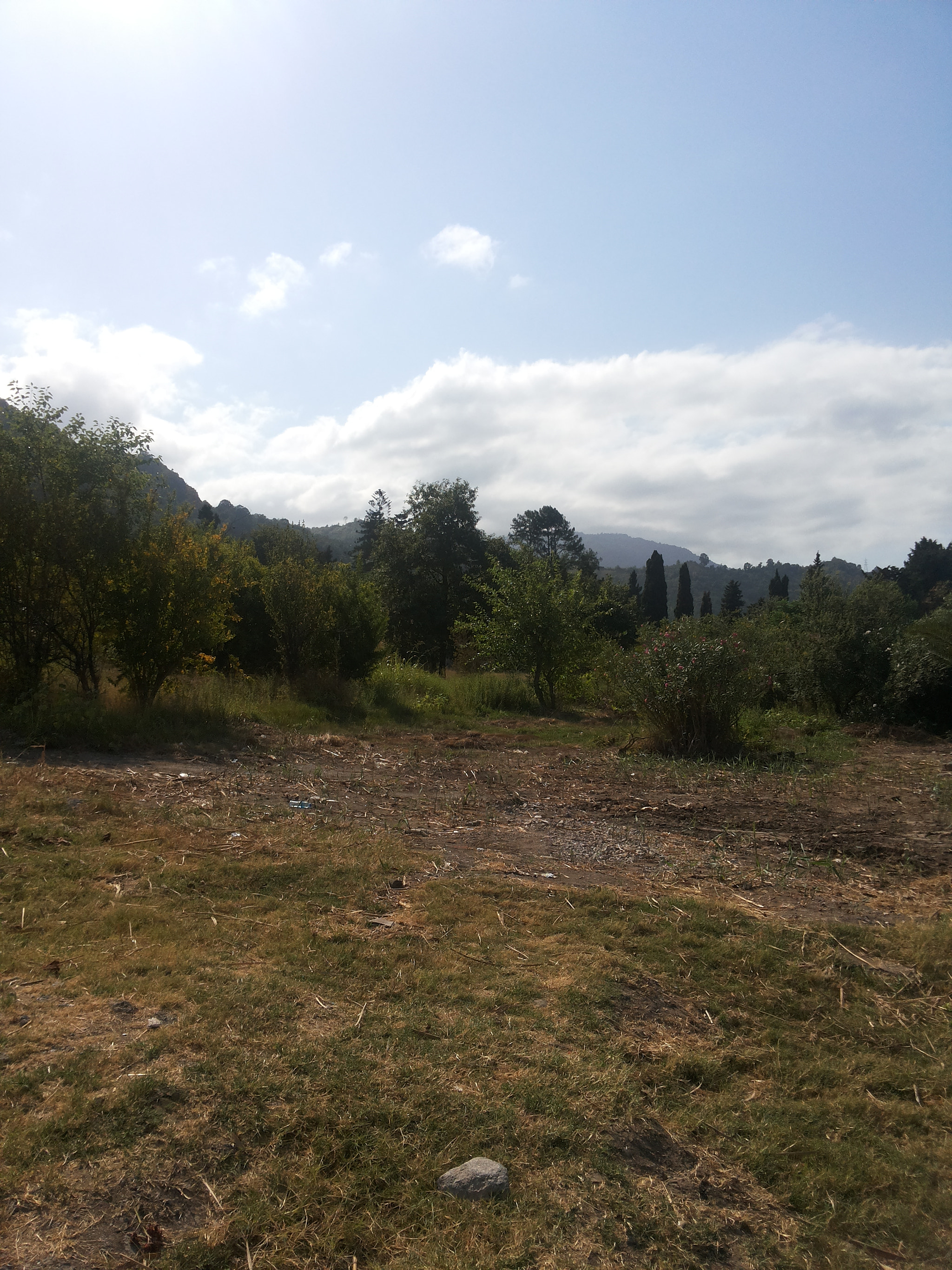Samsung Galaxy Grand Duos sample photo. Beautiful nature photography