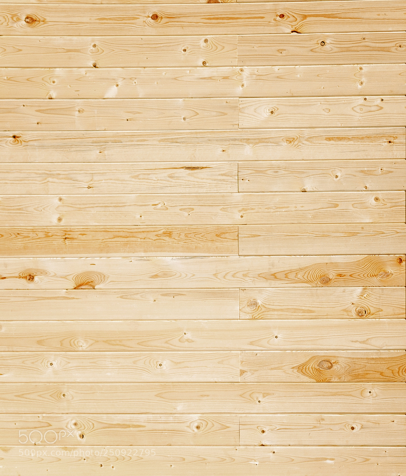 Canon EOS 600D (Rebel EOS T3i / EOS Kiss X5) sample photo. Wood panel background photography