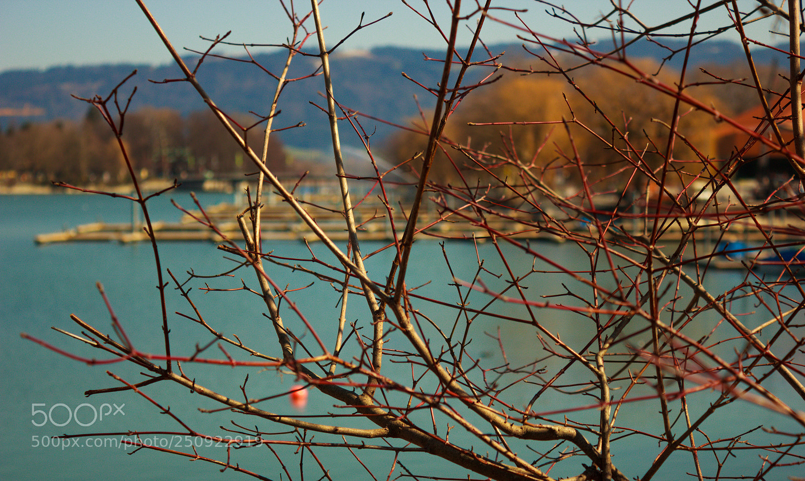 Canon EOS 550D (EOS Rebel T2i / EOS Kiss X4) sample photo. Lindau bodensee-2 photography