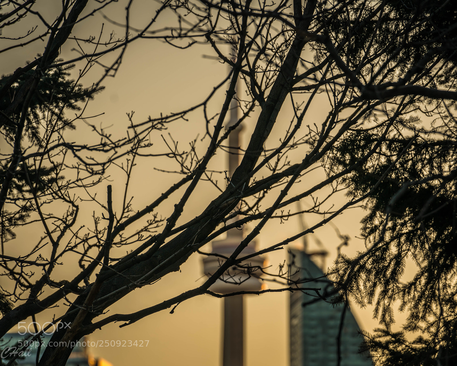 Sony a7R II sample photo. Peek-a-boo photography