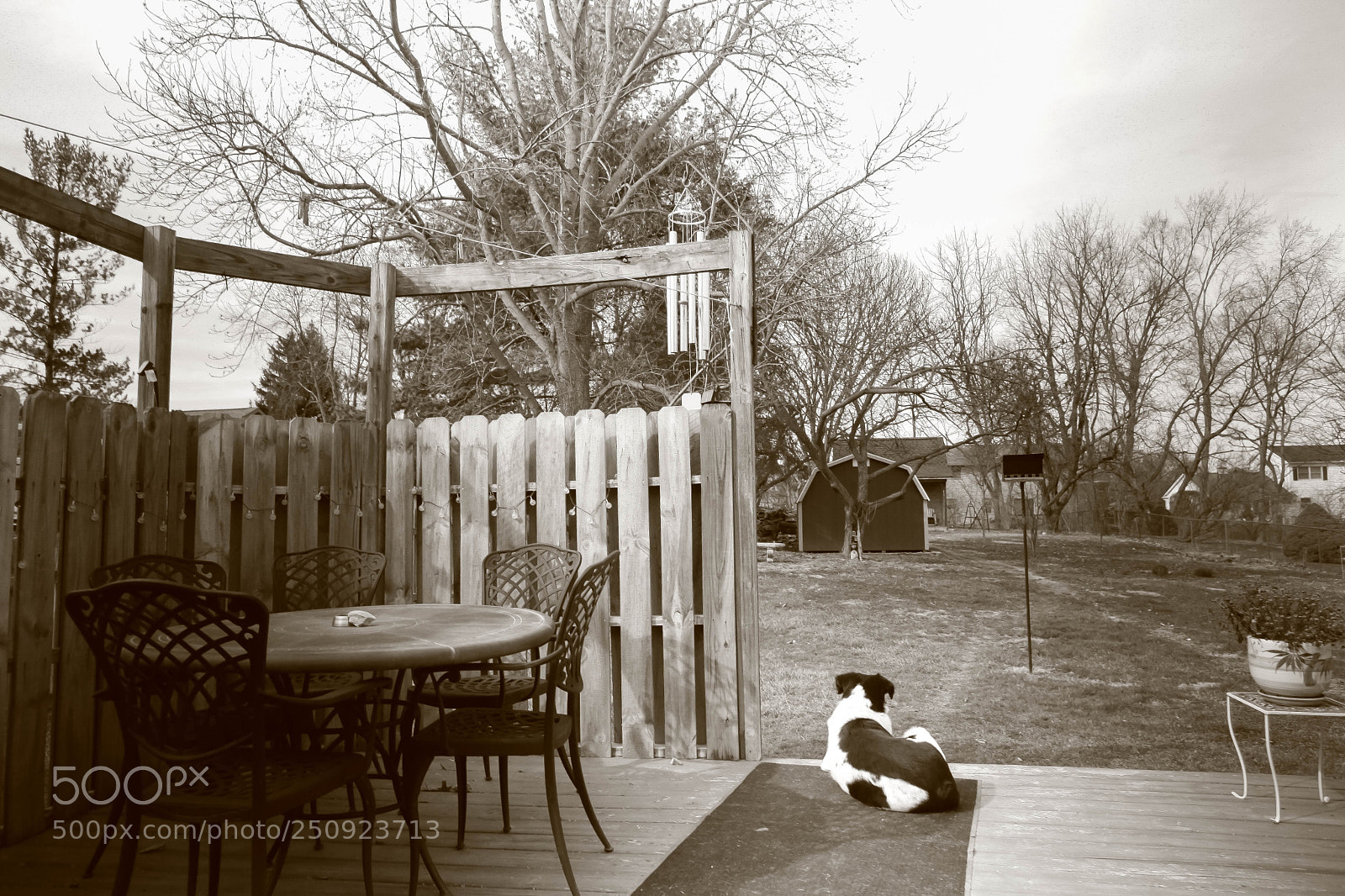 Canon EOS 5D Mark II sample photo. On watch photography