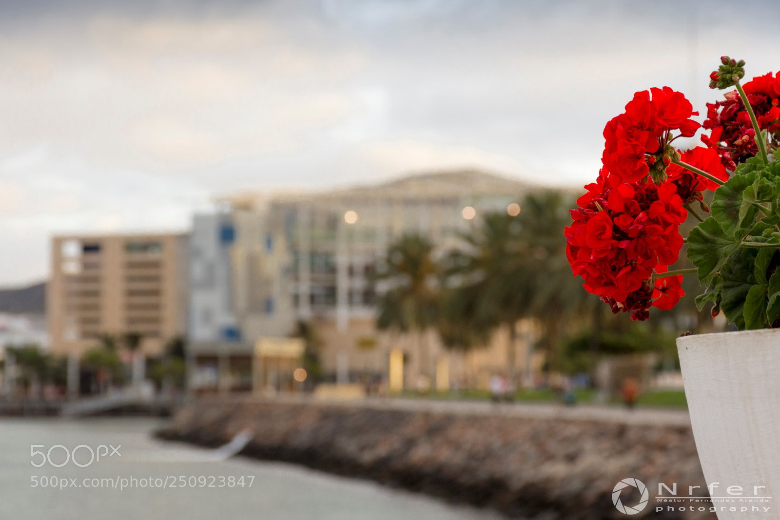 Nikon D7200 sample photo. Contrastes photography