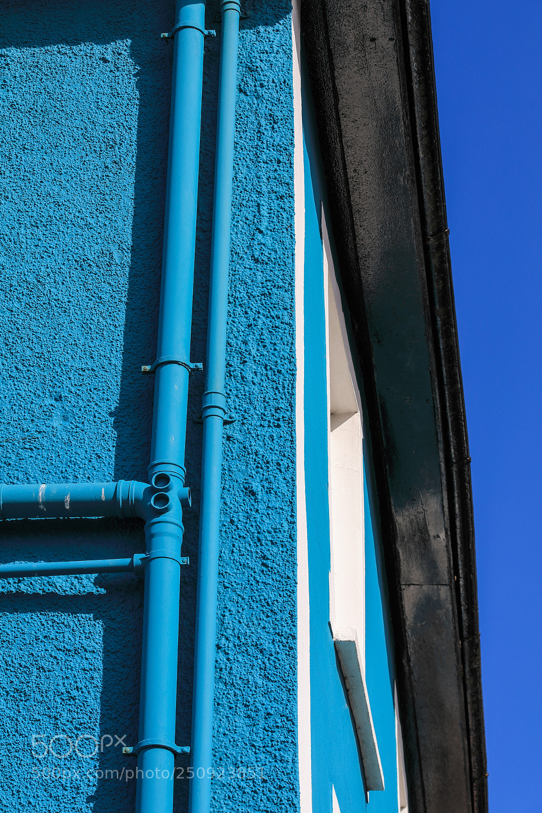 Canon EOS 5D Mark IV sample photo. Untitled photography