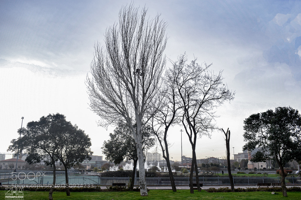 Nikon D5300 sample photo. قلعه توبكابى topkapı sarayı photography