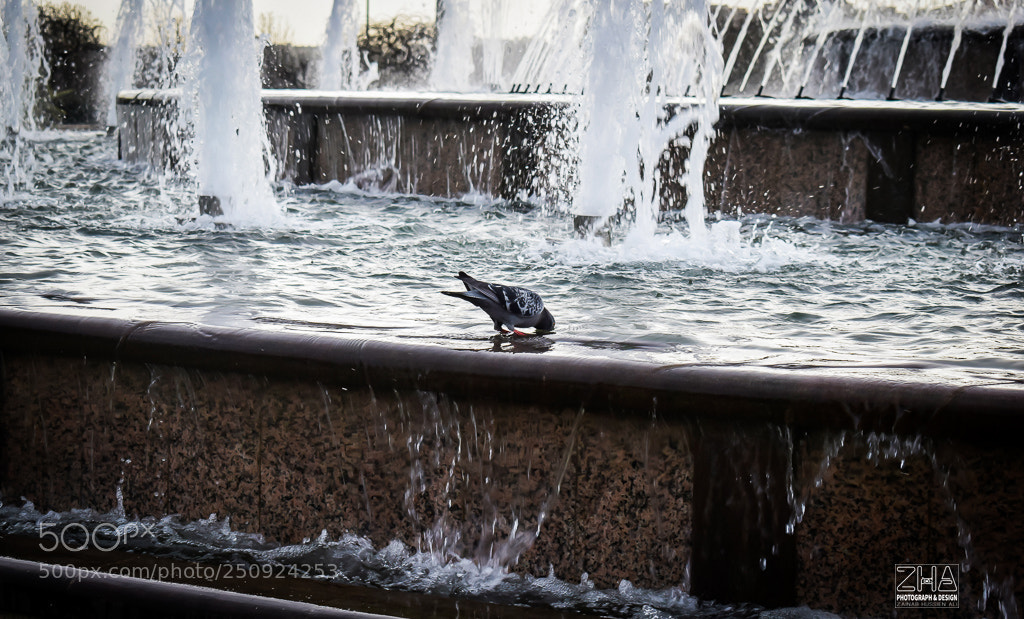 Nikon D5300 sample photo. قلعه توبكابى topkapı sarayı photography