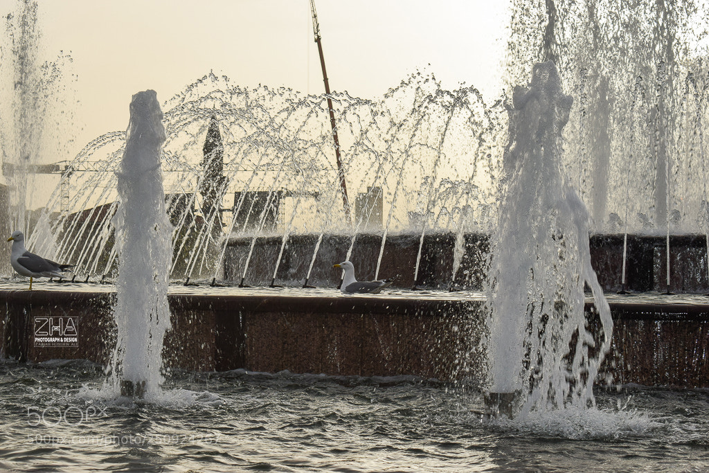 Nikon D5300 sample photo. قلعه توبكابى topkapı sarayı photography