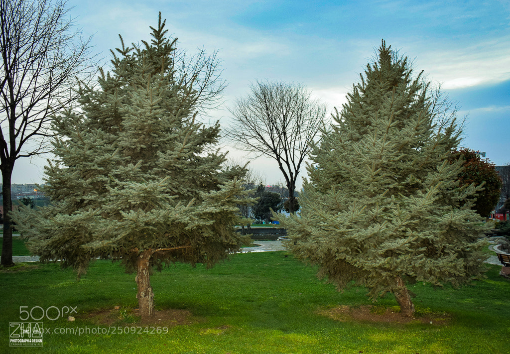 Nikon D5300 sample photo. قلعه توبكابى topkapı sarayı photography