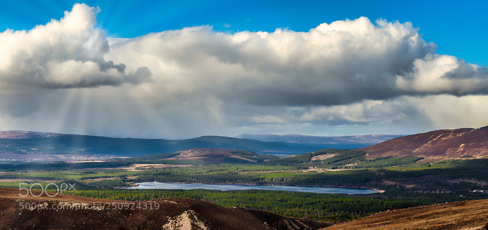 Sony a7R III sample photo. Loch morlich photography