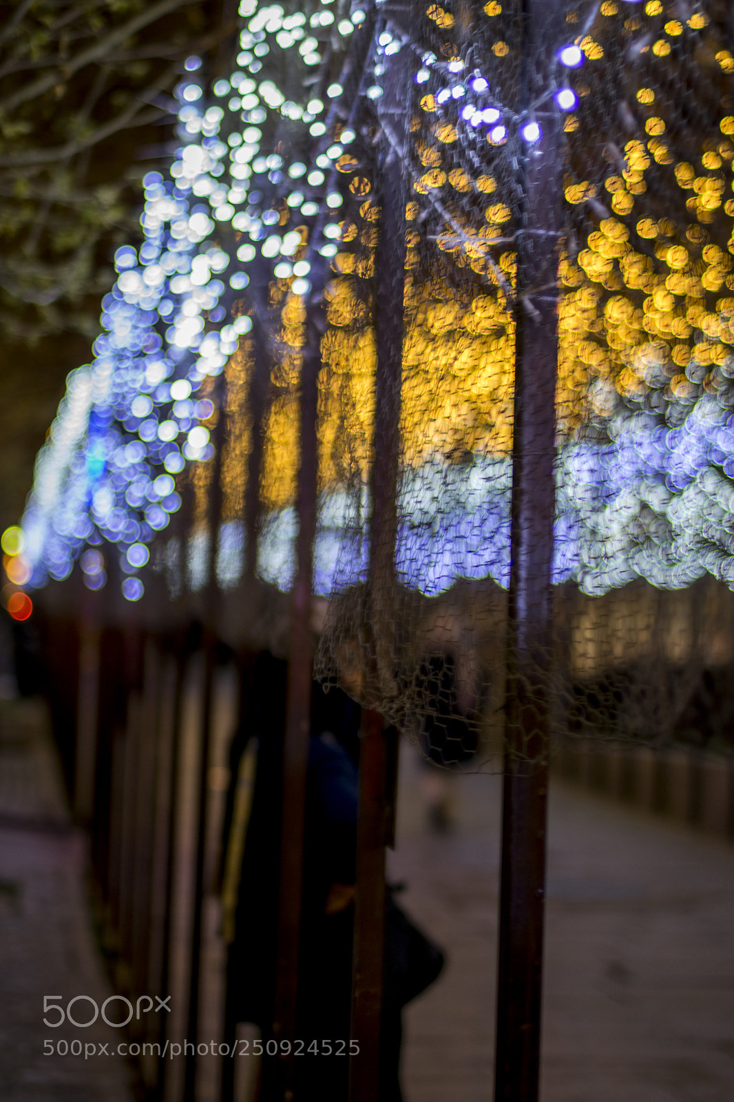 Nikon D5300 sample photo. Untitled photography
