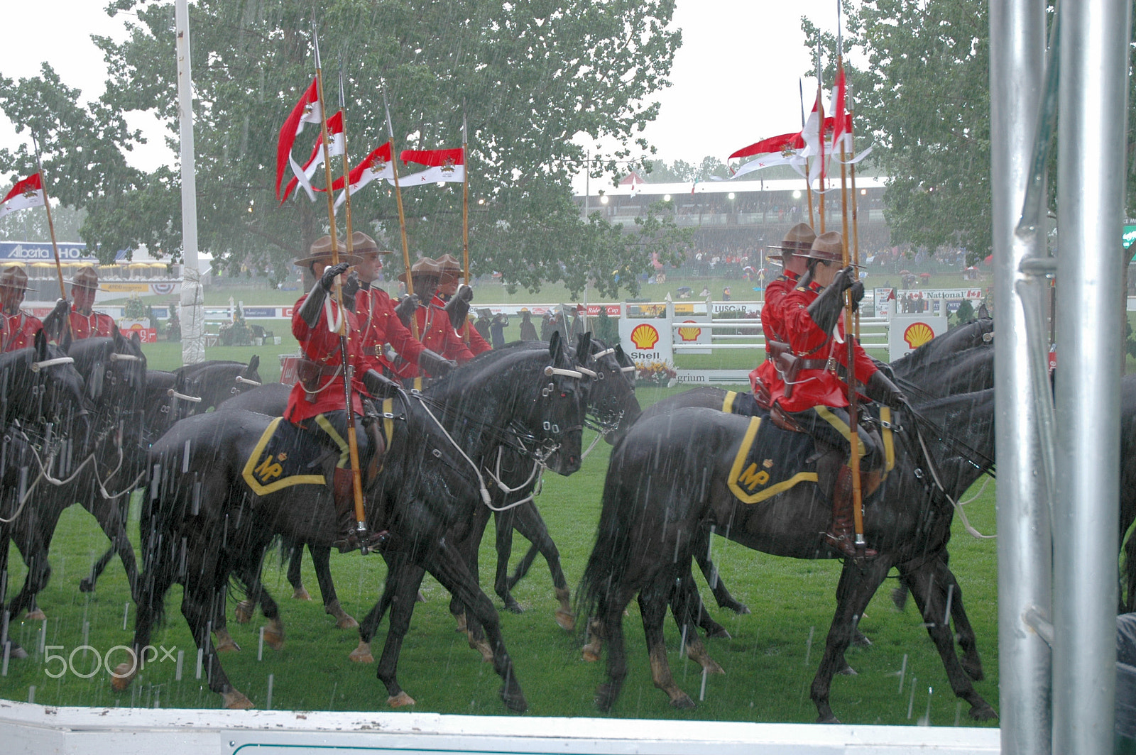 Nikon D70 sample photo. Raining on the parade photography