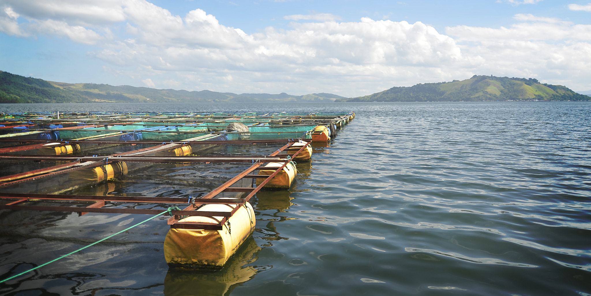 Nikon D7000 sample photo. Keramba sentani photography