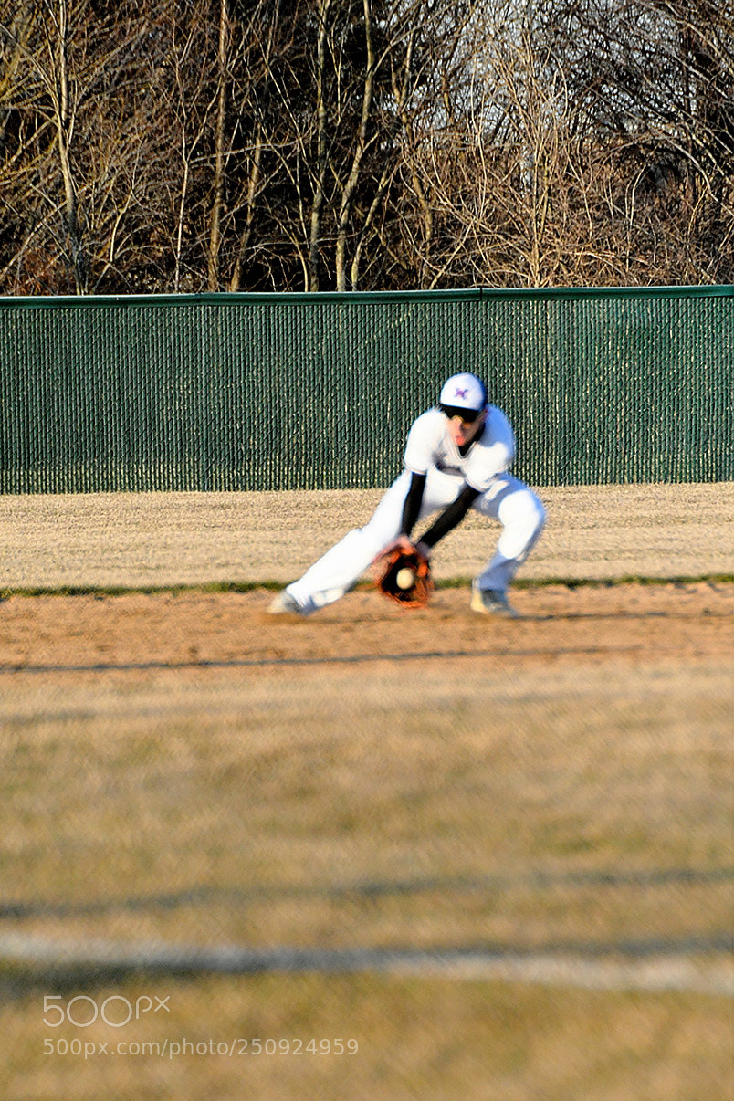 Nikon D500 sample photo. 3-22_0591.jpg photography