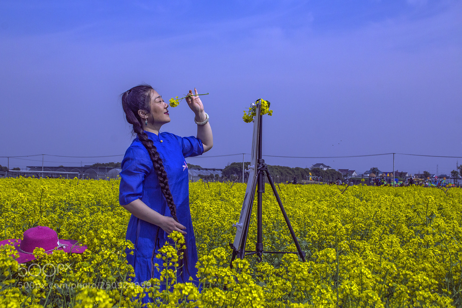 Canon EOS 600D (Rebel EOS T3i / EOS Kiss X5) sample photo. 花田闻花 photography