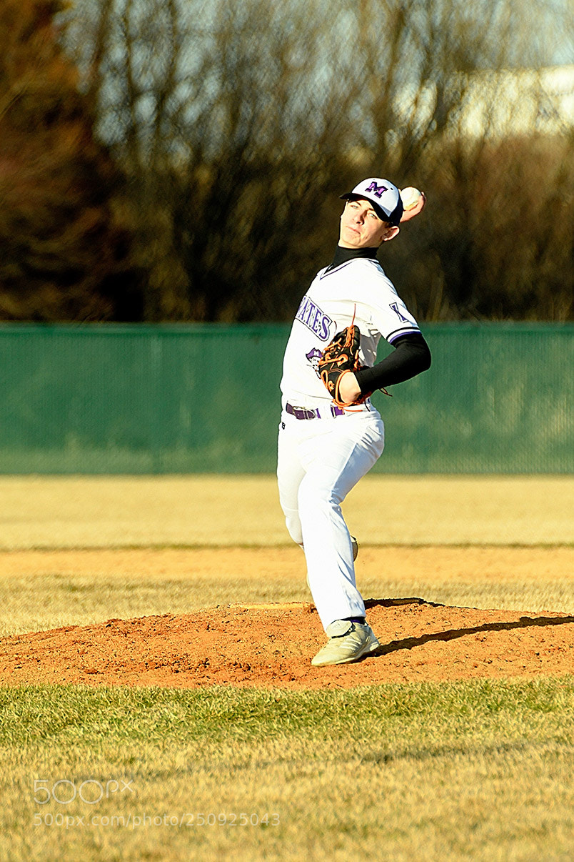 Nikon D500 sample photo. 3-22_0123.jpg photography
